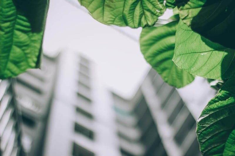 greenery-in-foreground-industrial-building-in-background